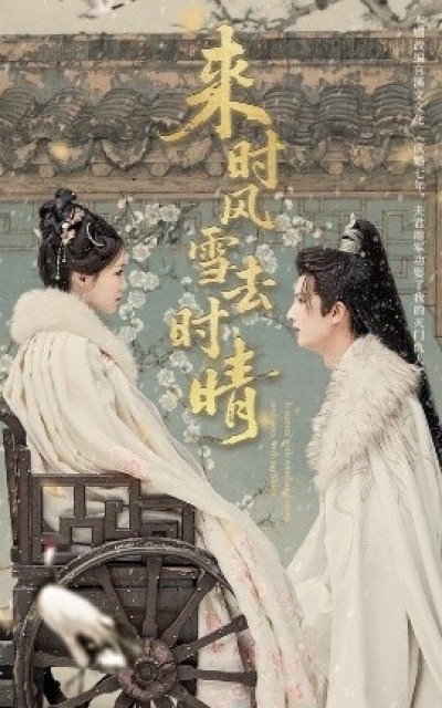 《来时风雪去时晴》免费在线观看短剧高清全集完整版