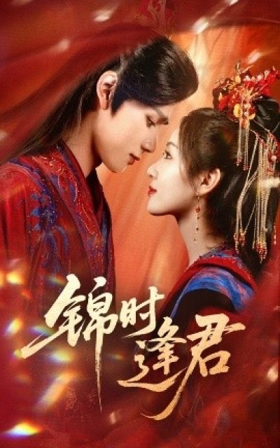 《锦时逢君》免费在线观看短剧高清全集完整版