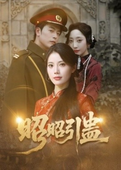 《昭昭引蛊》免费在线观看短剧高清全集完整版