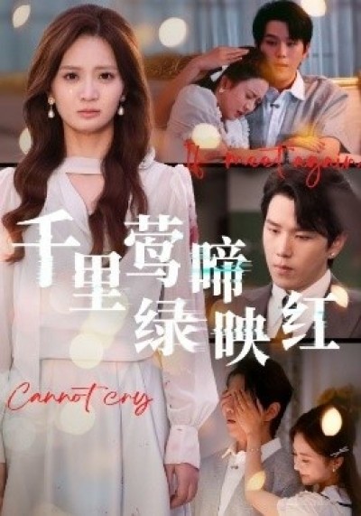 《千里莺啼绿映红》免费在线观看短剧高清全集完整版