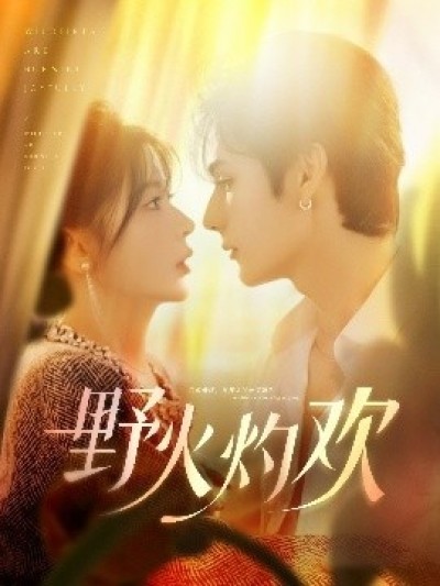 《野火灼欢》免费在线观看短剧高清全集完整版