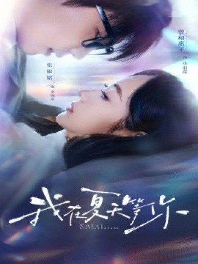 《我在夏天等你》免费在线观看短剧高清全集完整版