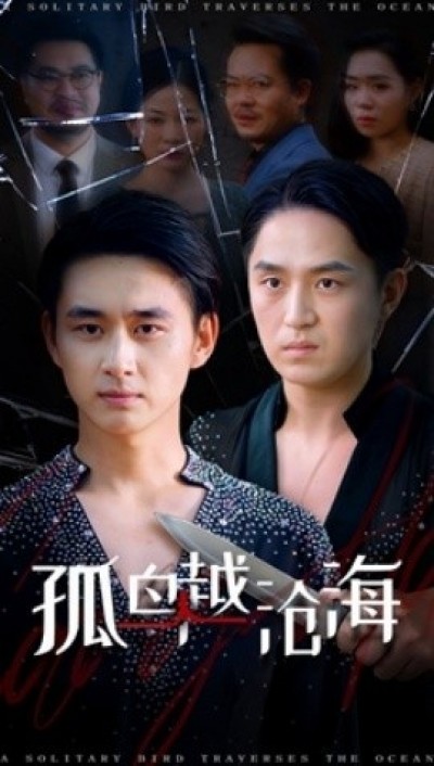 《孤鸟越沧海》免费在线观看短剧高清全集完整版