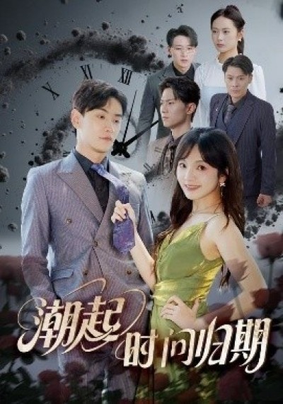 《潮起时问归期》免费在线观看短剧高清全集完整版