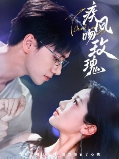 《疾风吻玫瑰》免费在线观看短剧高清全集完整版