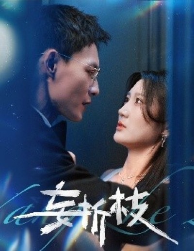《妄折枝》免费在线观看短剧高清全集完整版