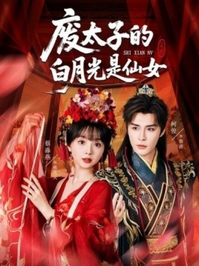 《废太子的白月光是仙女》免费在线观看短剧高清全集完整版