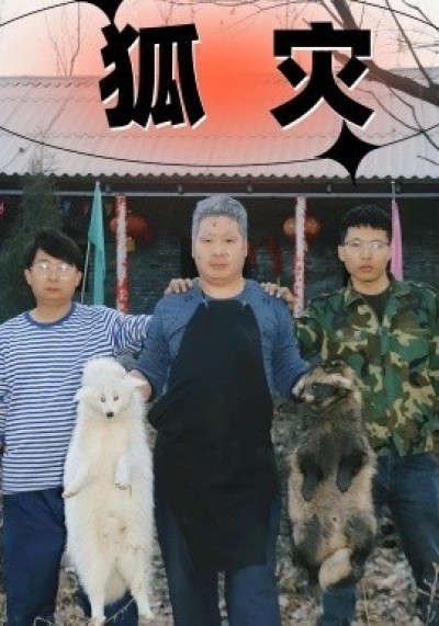 《狐灾》免费在线观看短剧高清全集完整版