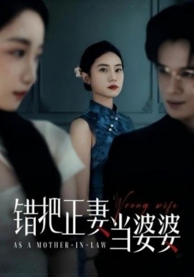 《错把正妻当婆婆》免费在线观看短剧高清全集完整版