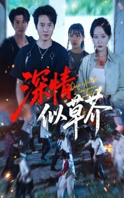 《深情似草芥》免费在线观看短剧高清全集完整版