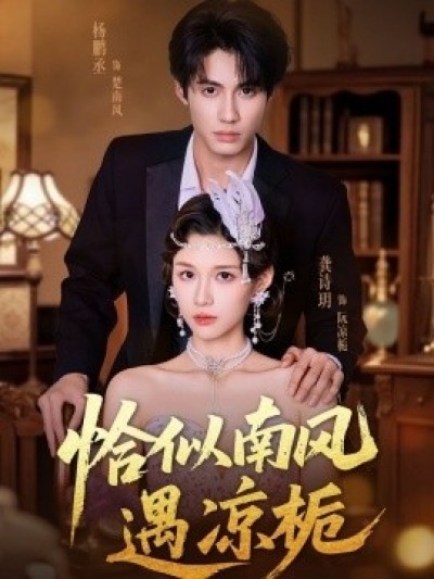 《恰似南风遇凉栀》免费在线观看短剧高清全集完整版