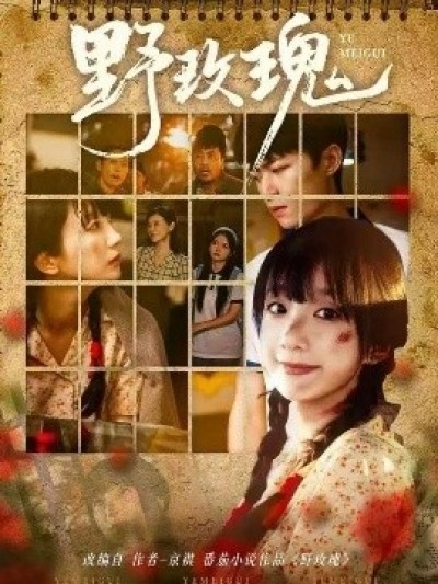 《野玫瑰》免费在线观看短剧高清全集完整版