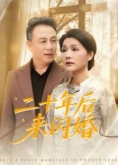 《二十年后来闪婚》免费在线观看短剧高清全集完整版