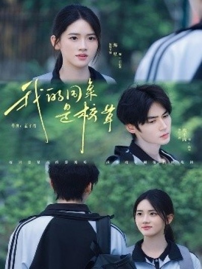 《我的同桌是校草》免费在线观看短剧高清全集完整版