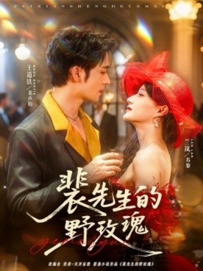 《裴先生的野玫瑰》免费在线观看短剧高清全集完整版