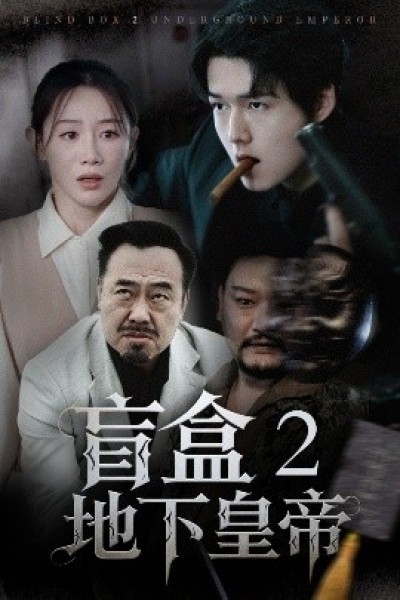 《盲盒2地下皇帝》免费在线观看短剧高清全集完整版