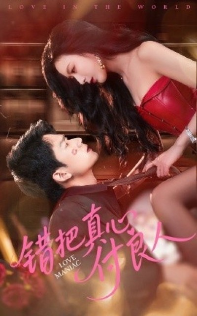 《错把真心付良人》免费在线观看短剧高清全集完整版