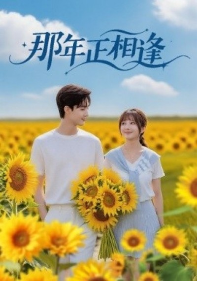 《那年正相逢》免费在线观看短剧高清全集完整版