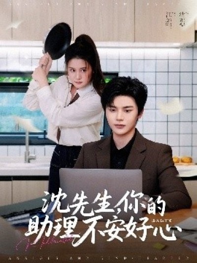 《沈先生，你的助理不安好心》免费在线观看短剧高清全集完整版