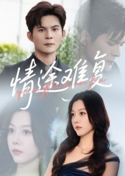 《情途难复》免费在线观看短剧高清全集完整版
