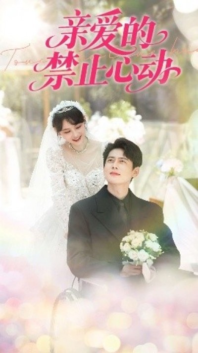 《亲爱的禁止心动》免费在线观看短剧高清全集完整版