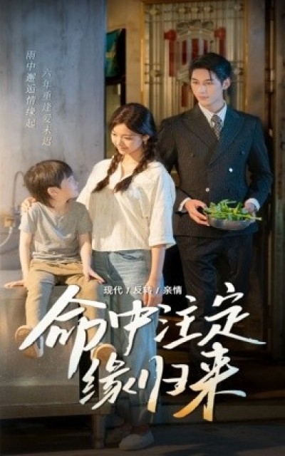 《命中注定缘归来》免费在线观看短剧高清全集完整版