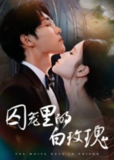 《囚笼里的白玫瑰》免费在线观看短剧高清全集完整版