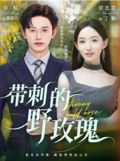 《带刺的野玫瑰》免费在线观看短剧高清全集完整版