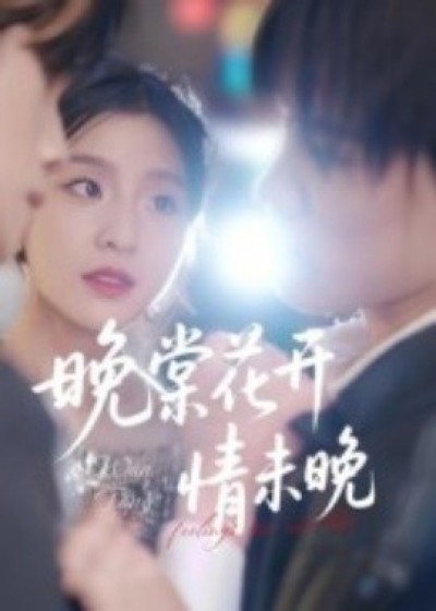 《晚棠花开情未晚》免费在线观看短剧高清全集完整版