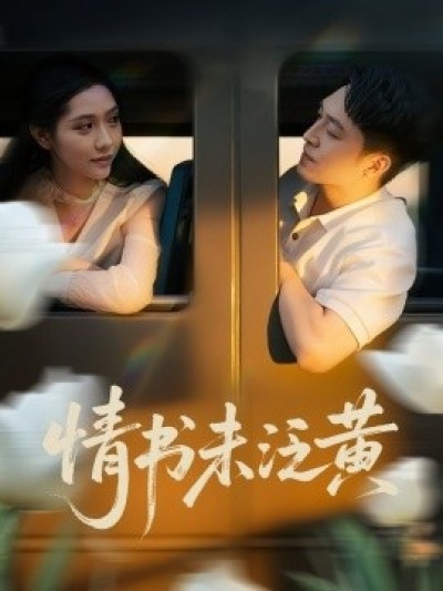 《情书未泛黄》免费在线观看短剧高清全集完整版