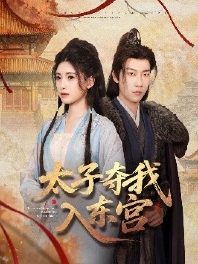 《太子夺我入东宫》免费在线观看短剧高清全集完整版