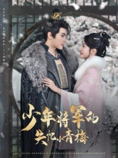 《少年将军的失忆小青梅》免费在线观看短剧高清全集完整版