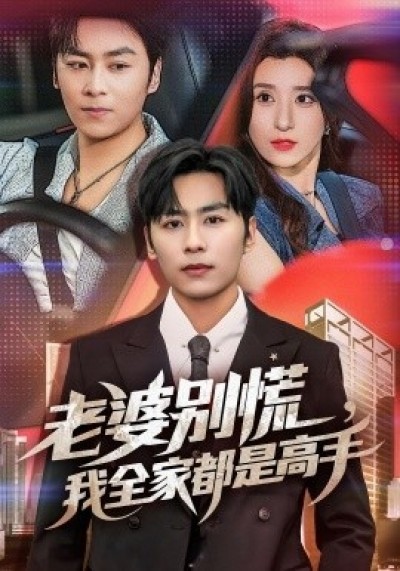 《老婆别慌，我全家都是高手》免费在线观看短剧高清全集完整版