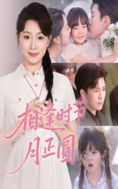 《相逢时节月正圆》免费在线观看短剧高清全集完整版