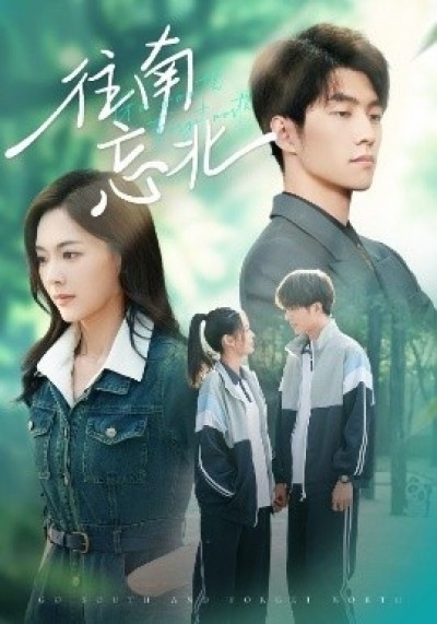 《往南忘北》免费在线观看短剧高清全集完整版