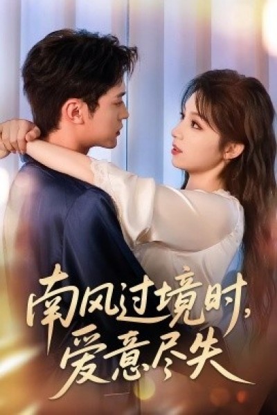《南风过境时，爱意尽失》免费在线观看短剧高清全集完整版