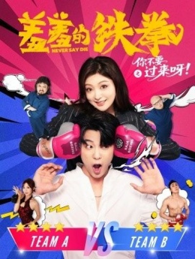 《羞羞的铁拳之你不要过来呀》免费在线观看短剧高清全集完整版