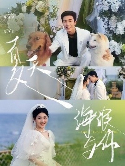 《夏天，海浪与你》免费在线观看短剧高清全集完整版