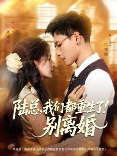 《陆总，我们都重生了！别离婚》免费在线观看短剧高清全集完整版