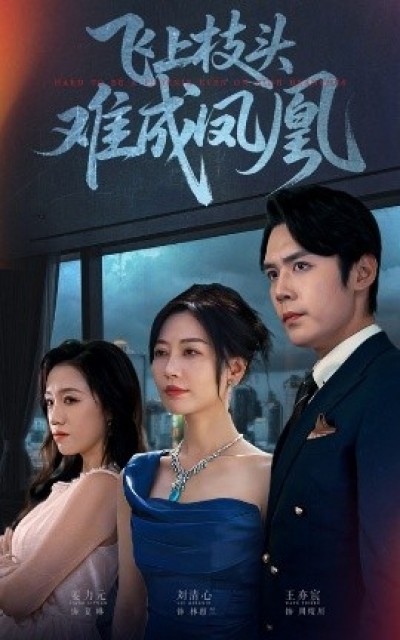 《飞上枝头难成凤凰》免费在线观看短剧高清全集完整版