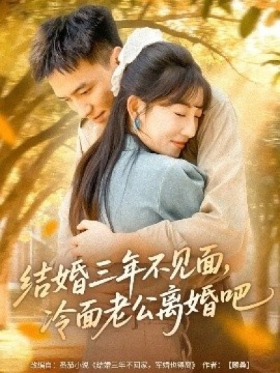 《结婚三年不见面，冷面老公离婚吧》免费在线观看短剧高清全集完整版