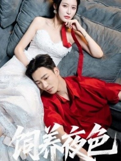 《饲养夜色》免费在线观看短剧高清全集完整版