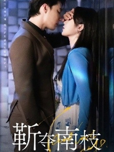《甜欲肆吻》免费在线观看短剧高清全集完整版