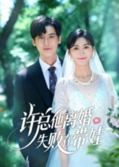《许总他离婚失败在带娃》免费在线观看短剧高清全集完整版