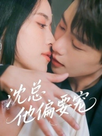 《沈总他偏要宠》免费在线观看短剧高清全集完整版