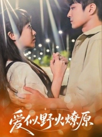 《爱似野火燎原》免费在线观看短剧高清全集完整版