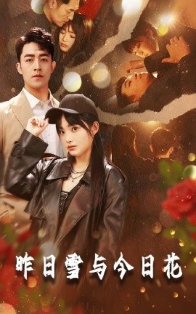 《昨日雪与今日花》免费在线观看短剧高清全集完整版