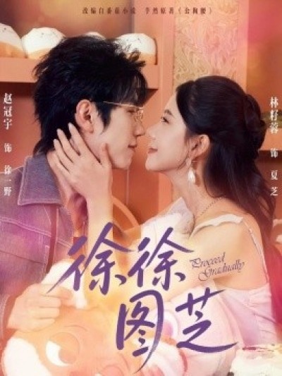 《徐徐图芝》免费在线观看短剧高清全集完整版