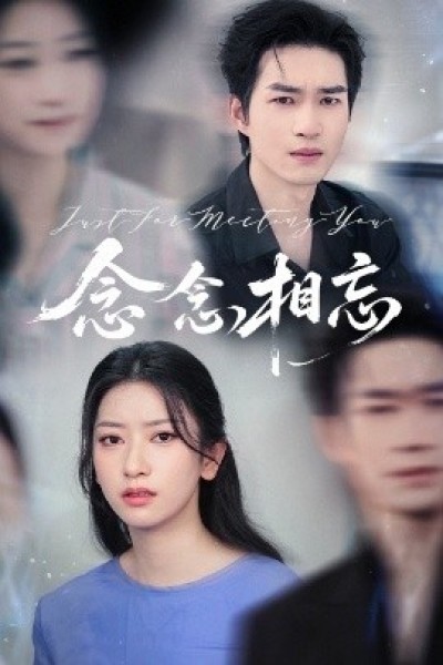 《念念相忘》免费在线观看短剧高清全集完整版