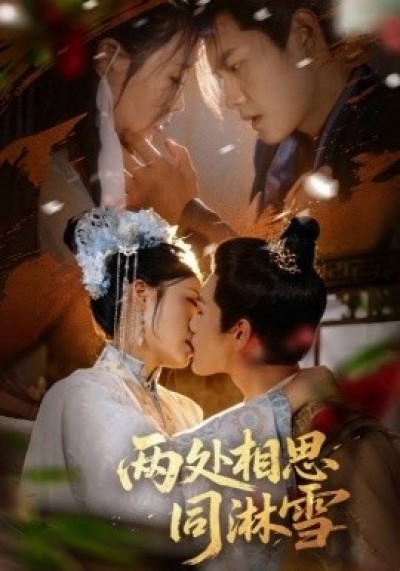 《两处相思同淋雪》免费在线观看短剧高清全集完整版